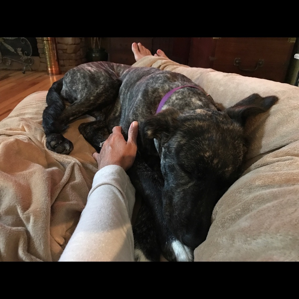 Meet your Posher, Kelly