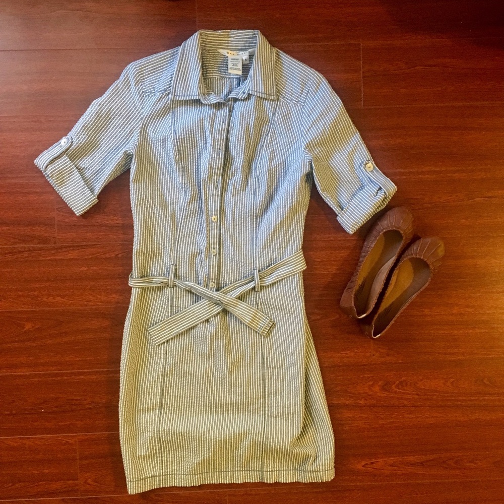 Max Studio Striped Dress