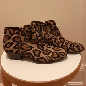 Sam Edelman Leopard "Petty" bootie