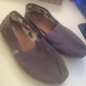 Grey Toms