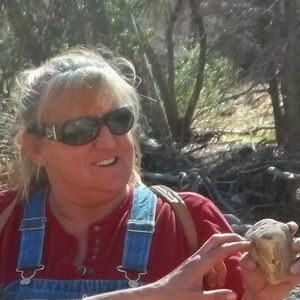 Meet your Posher, Paula