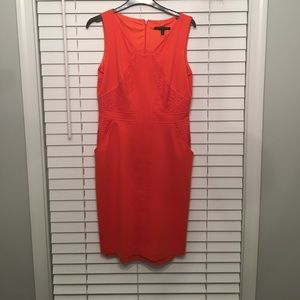 David Meister dress (good condition)
