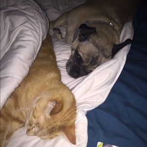 Meet your Posher, Nicki