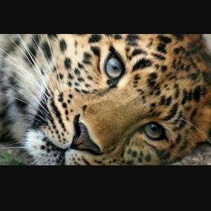 Meet your Posher, Gina