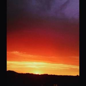 Meet your Posher, Brayden