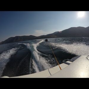 Meet your Posher, Isabella