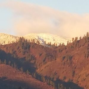 Meet your Posher, Wendy