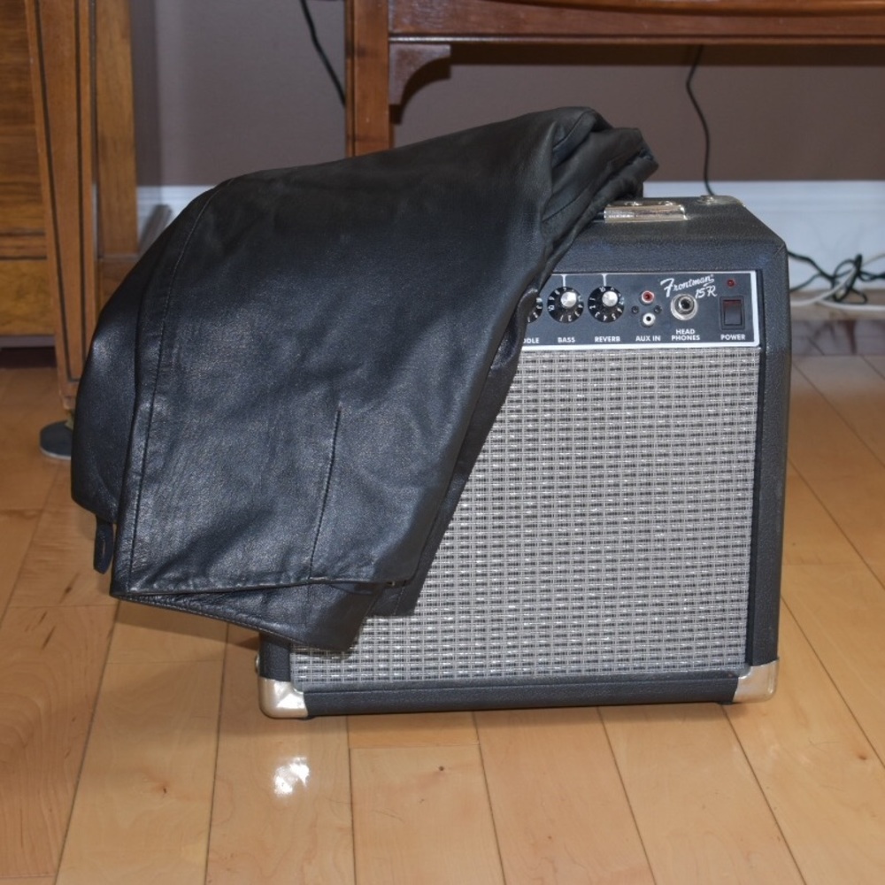 Soft leather rockstar pants