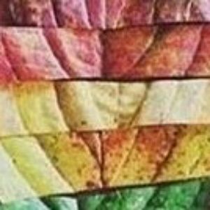 Meet your Posher, Lily