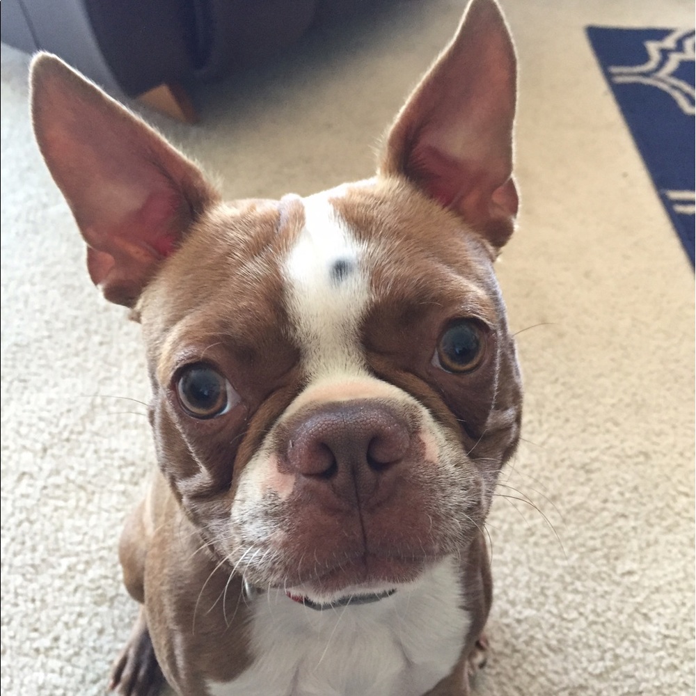 Meet your Posher, Stacy