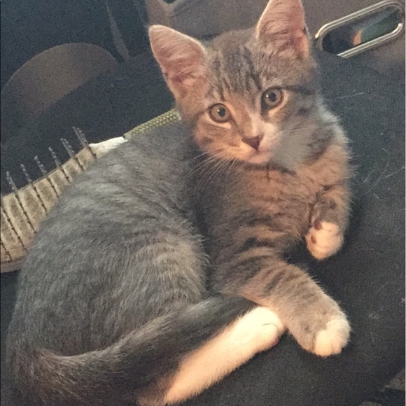 Meet your Posher, Kayla - Picture 1 of 1