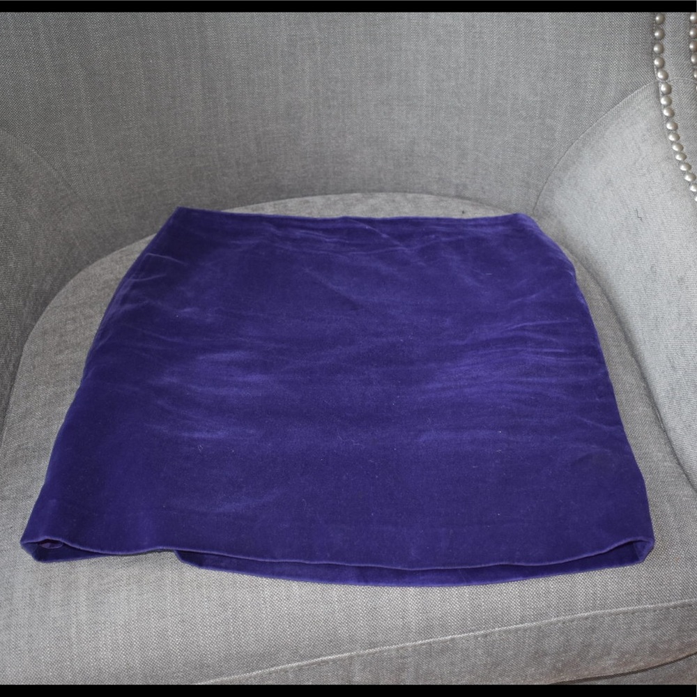 Vintage Velvet Skirt