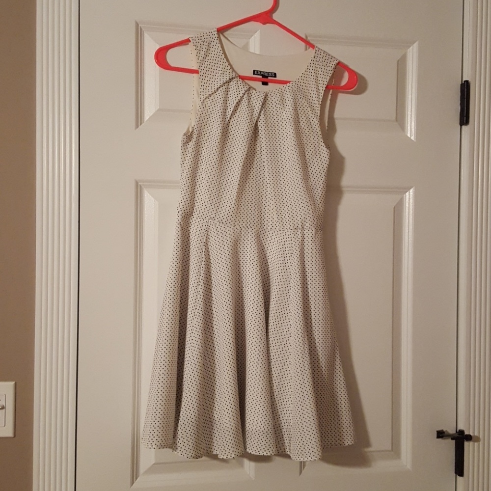 Express fit and flare dress