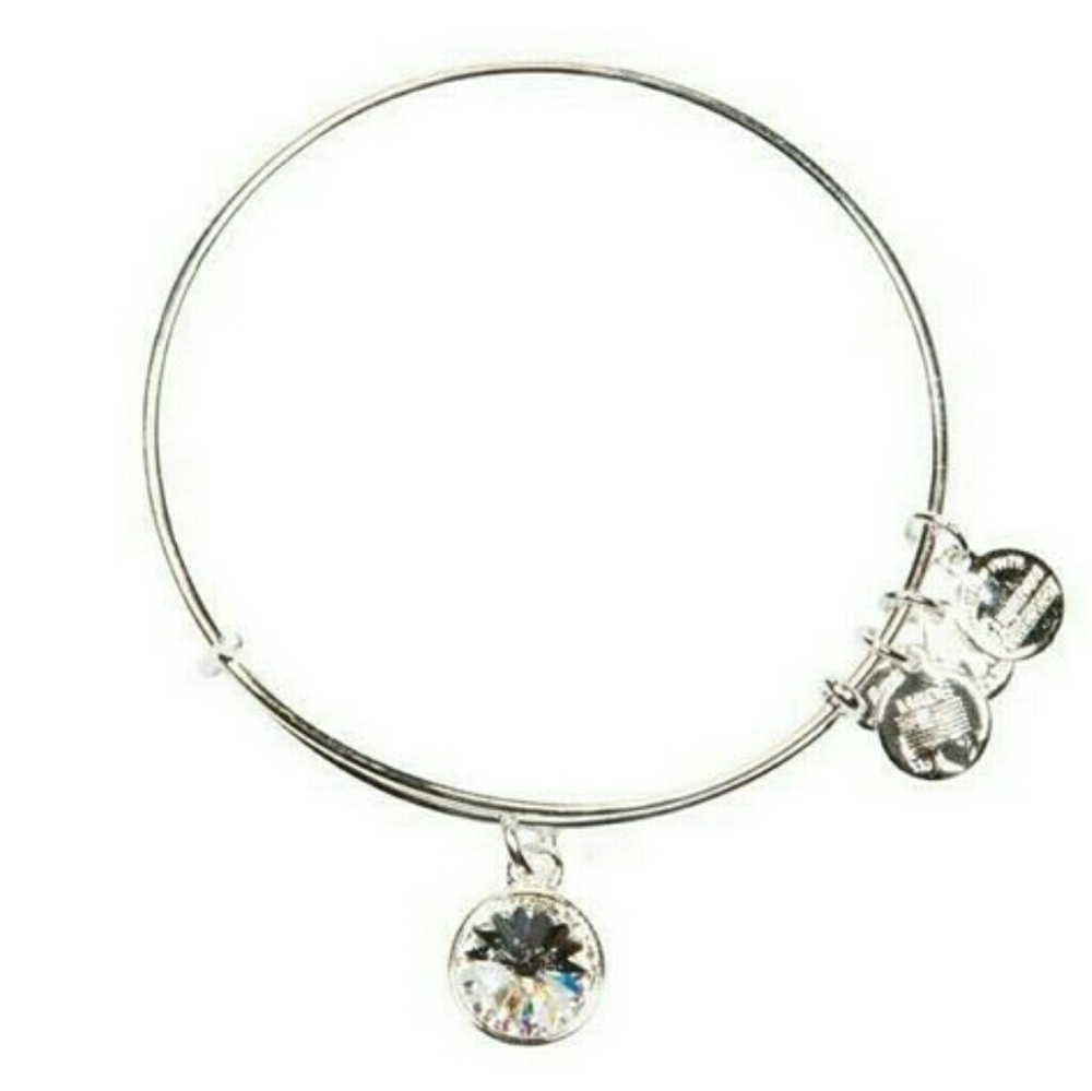 Alex and Ani Braclet!