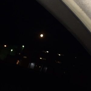 Meet your Posher, Jaylon