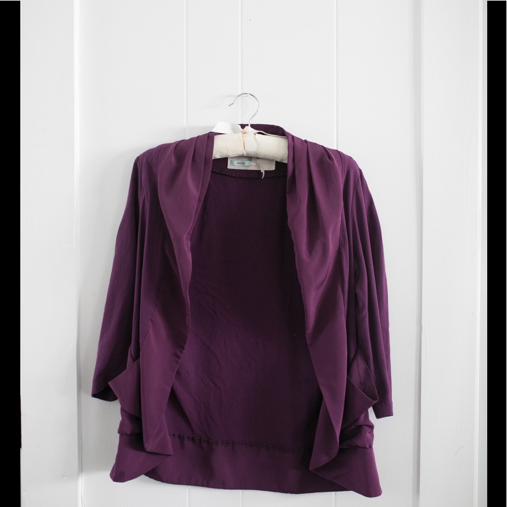 Urban Outfitters Purple Blazer