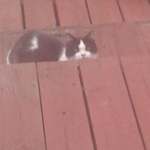 Meet your Posher, Aidan