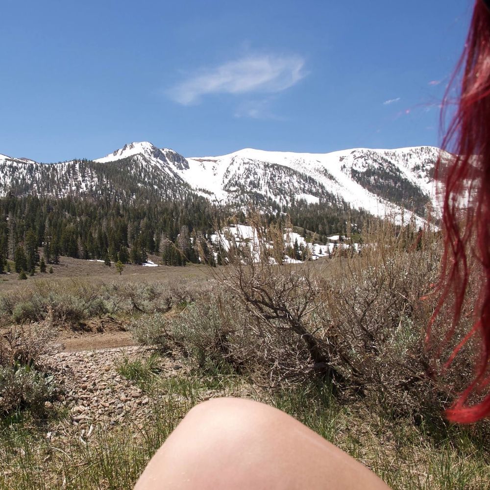 Meet your Posher, Dallas