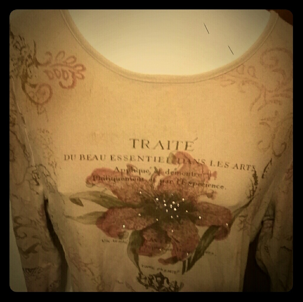 Vintage champagne blush trendy top with sparkles
