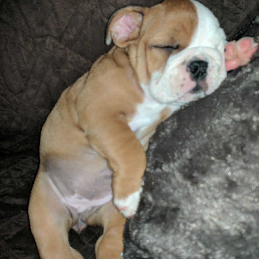 Meet your Posher, Carolann