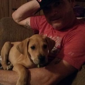 Meet your Posher, Richard