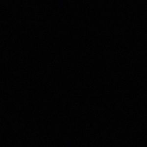 Meet your Posher, Lashayna