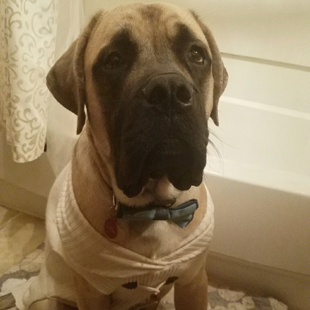 Meet your Posher, Colby