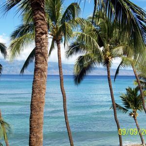 Meet your Posher, Margaret