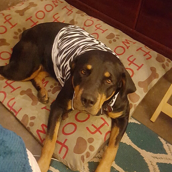 Meet your Posher, Barbara - Picture 1 of 1