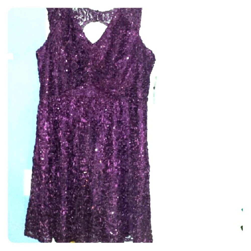 NEW Purple Sparkle Dress *size 18* *1X*