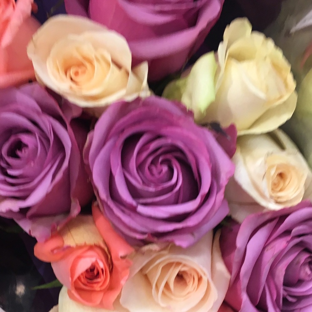 Meet your Posher, Zahra