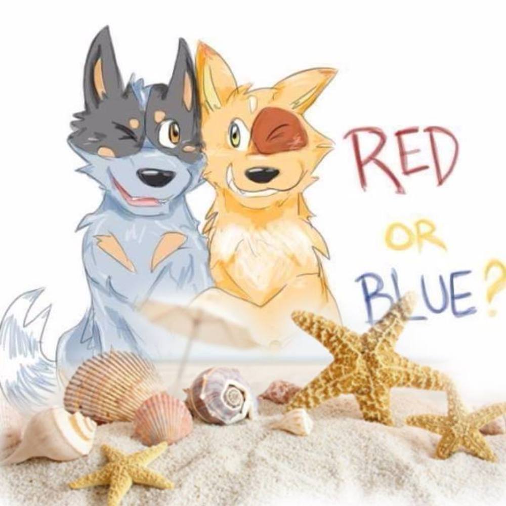 Meet your Posher, Charlene