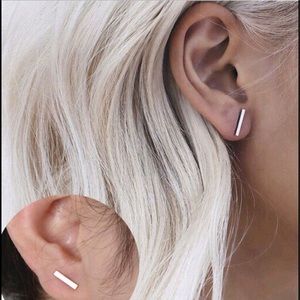 ❗️LAST PAIR❗️Bar Earrings