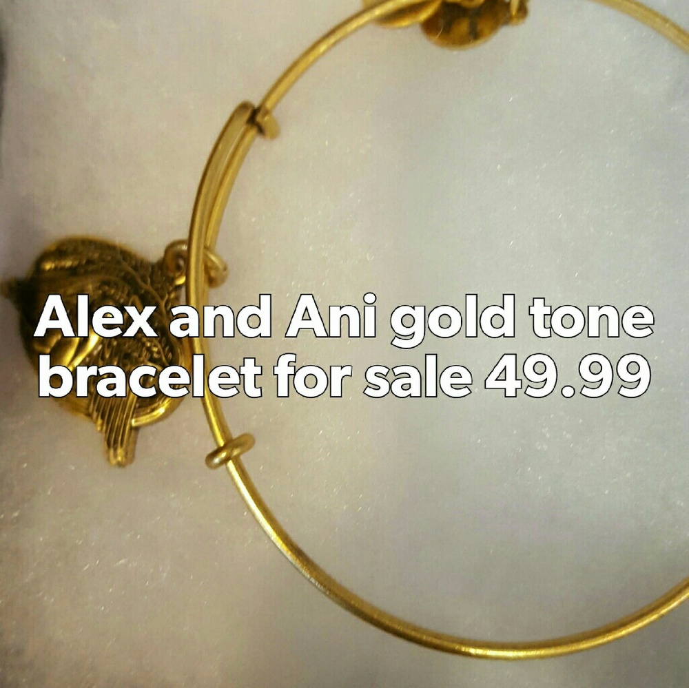 Alex and Ani Guardian Angel with box HTF