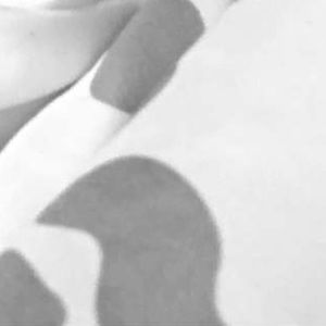 Meet your Posher, Jared