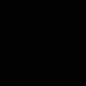 Meet your Posher, Timothy