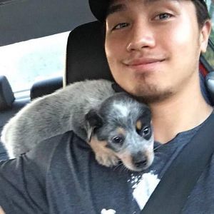 Meet your Posher, Vin