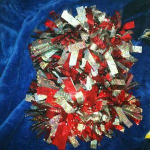 Cheer/Dance Poms