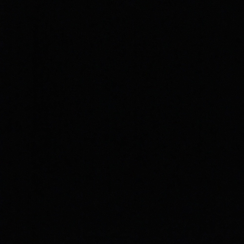 Meet your Posher, Dalia