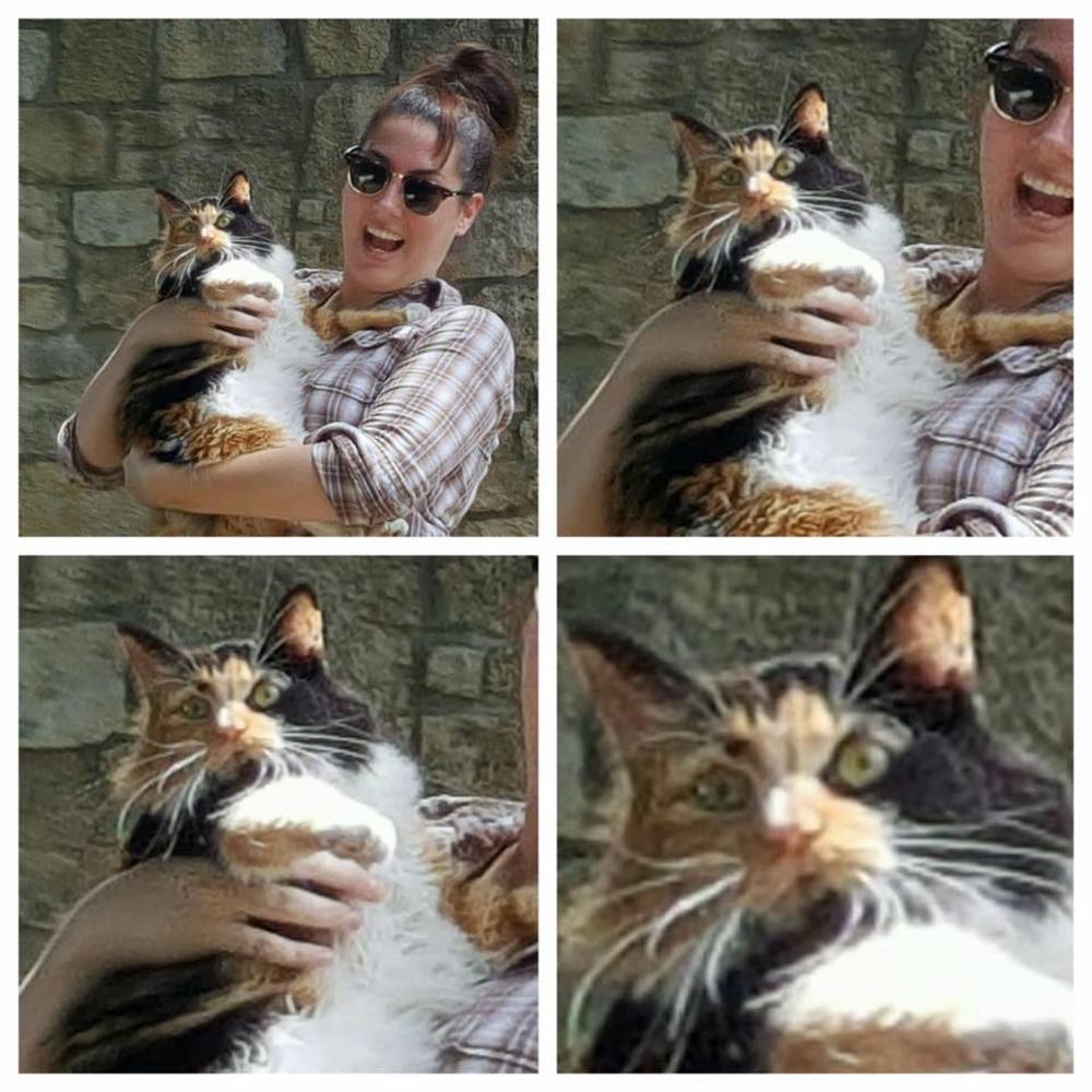 Meet your Posher, Jenny