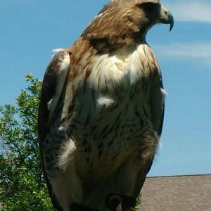 Meet your Posher, Tammy