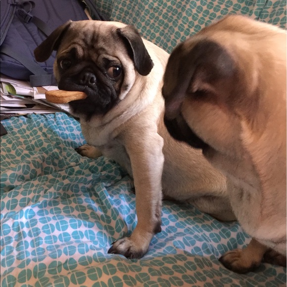 Not sharing today - Picture 2 of 4