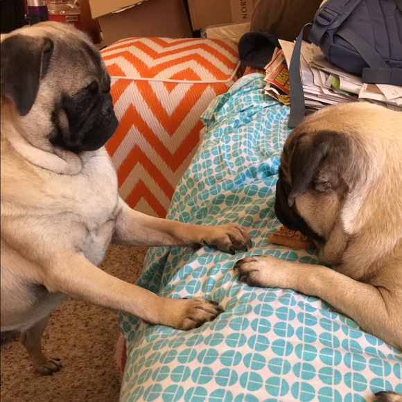 Not sharing today - Picture 3 of 4