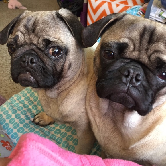 Not sharing today - Picture 4 of 4