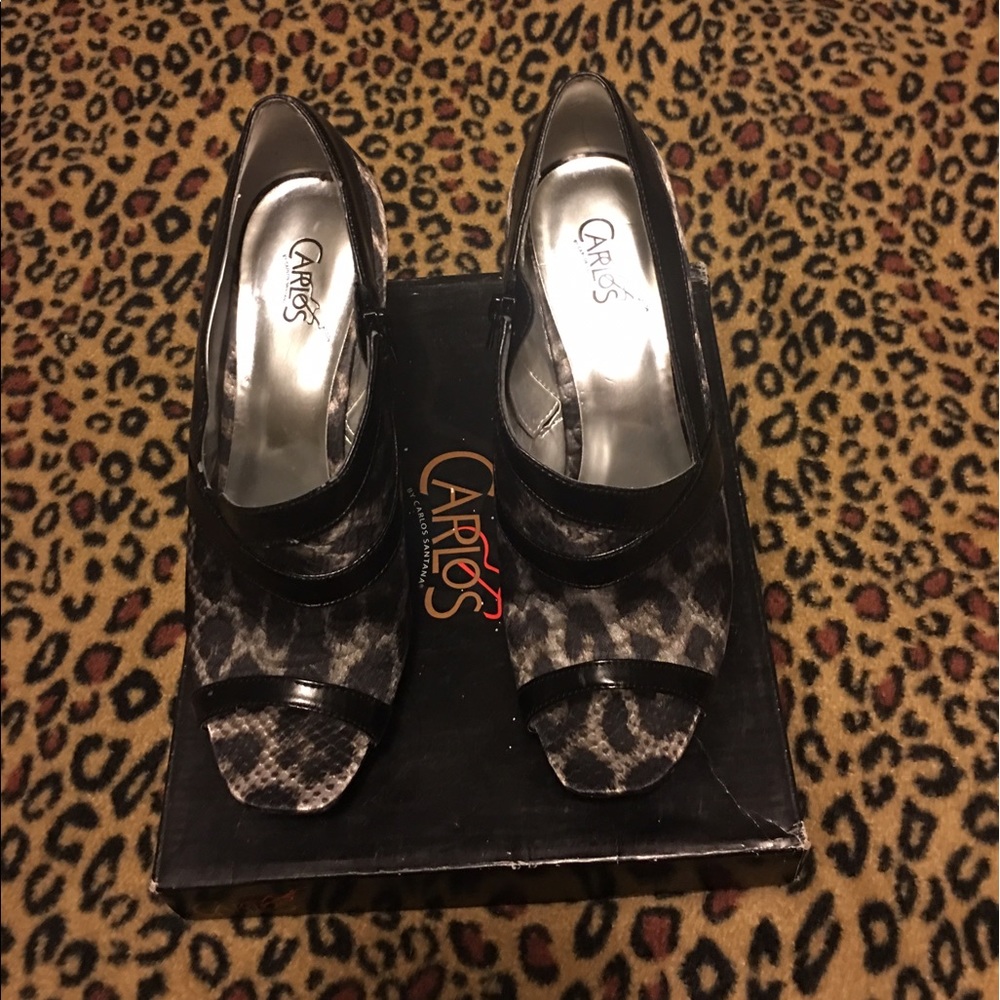 Carlos Santa shoes