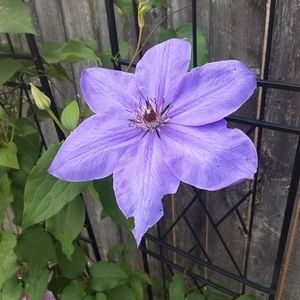 Meet your Posher, Kimmy