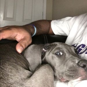 Meet your Posher, John