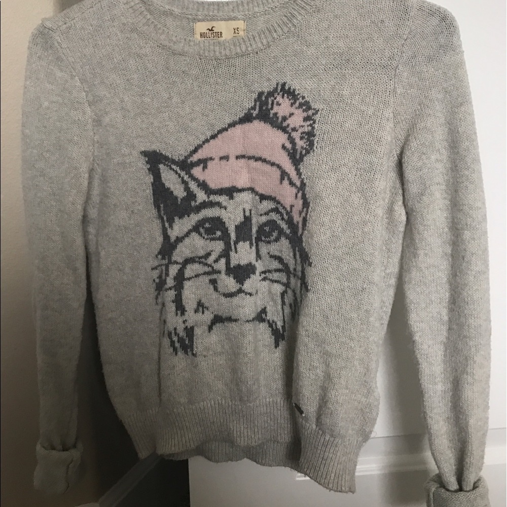 Hollister sweater