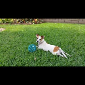 Meet your Posher, Hilde ivelise