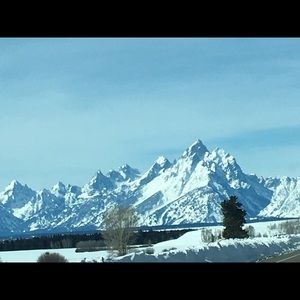 Meet your Posher, Lucy